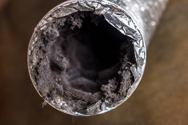 Best HVAC Duct Inspection Services  in Superior, NE