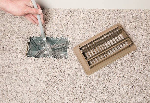 Best Air Duct Mold Removal  in Superior, NE